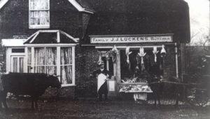 Butchers (now Thorndale) – Mr Shadbolt in the pony trap