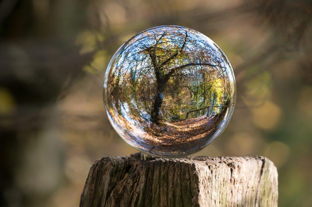 glass sphere, fall, tree-1813707.jpg